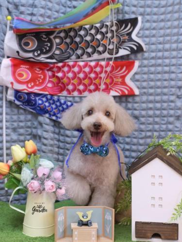 20230531ロンくん